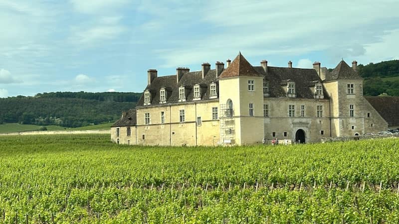 Château du Clos Vougeot (1)