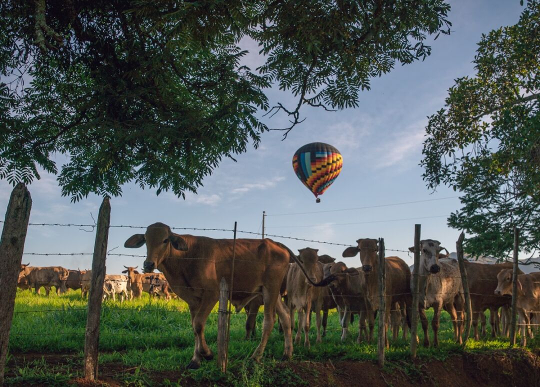 Balonismo turismo de experiência em Capitólio Foto da Divulgação Prefeitura Municipal de Capitólio