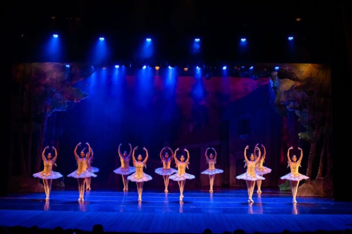 (Foto: Divulgação Studio Le Dance) (Foto: Divulgação Studio Le Dance)