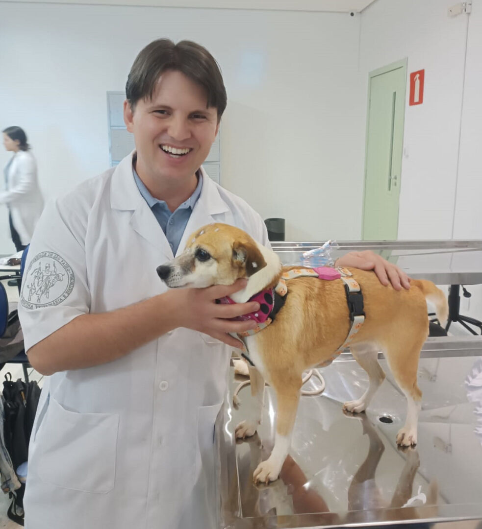 Saiba quais as regras para viagens aéreas com pets