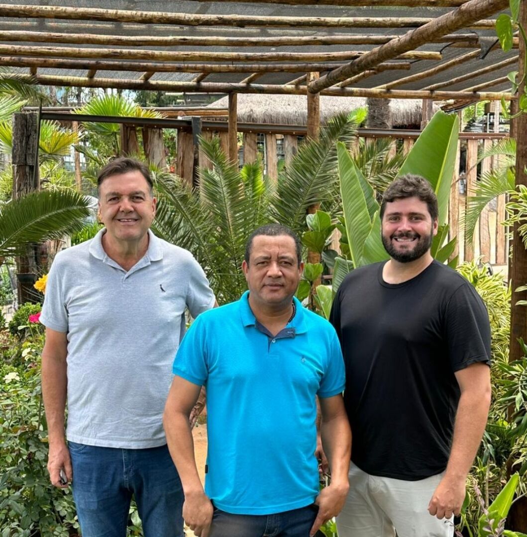 Belvedere Garden apresenta opções de arranjos e decorações para o Natal