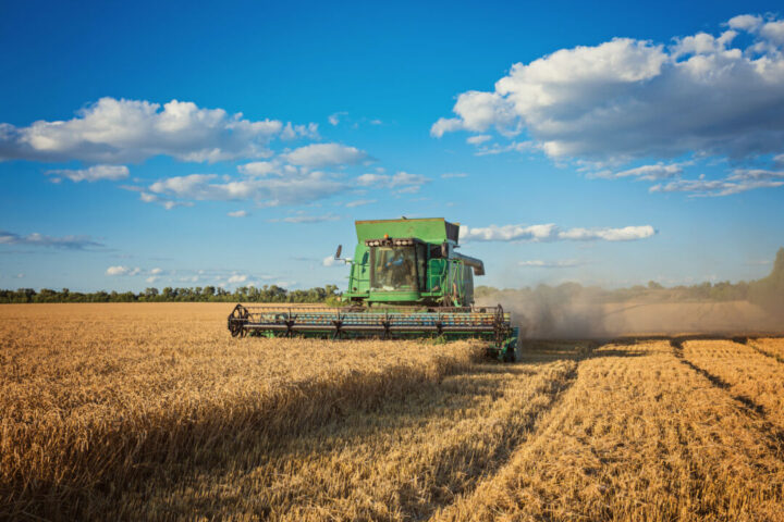 Harvesting combine in the field Harvesting combine in the field