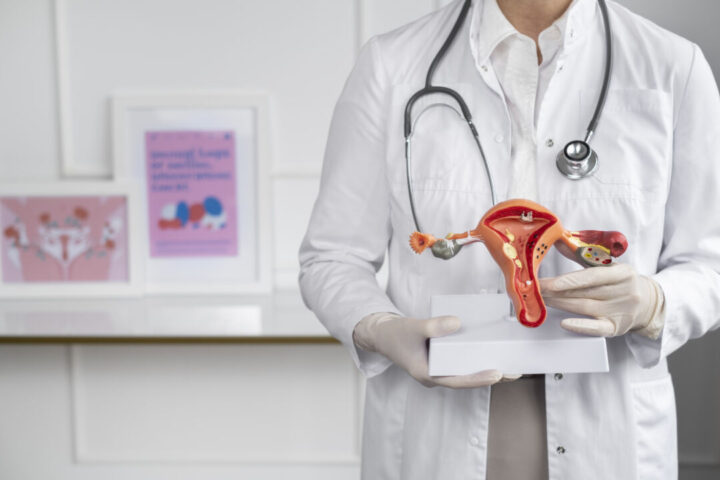 Janeiro Verde: importância da vacina contra o HPVHPV medico de vista frontal segurando o modelo anatomico