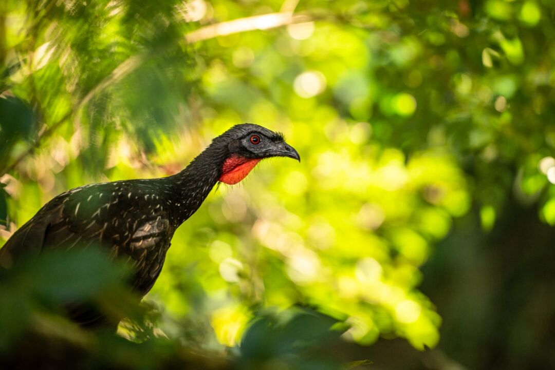 Vale do Sereno estimula contato com a natureza sem precisar sair da cidade