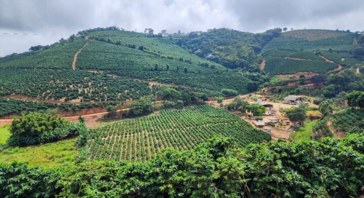 Exportações do agro batem novo recorde Foto agronegócio Diego Vargas Seapa