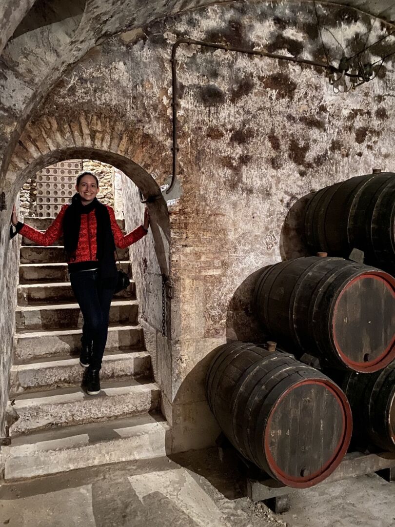 Plop Champagne: Caves Maison Penet