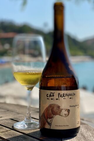 Cão Perdigueiro Riesling Renano Degustatividade: Cão Perdigueiro Riesling Renano