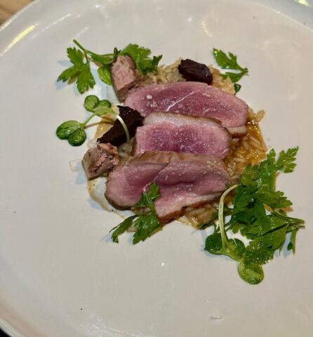 Arroz de pato com magret Degustatividade: arroz de pato com magret