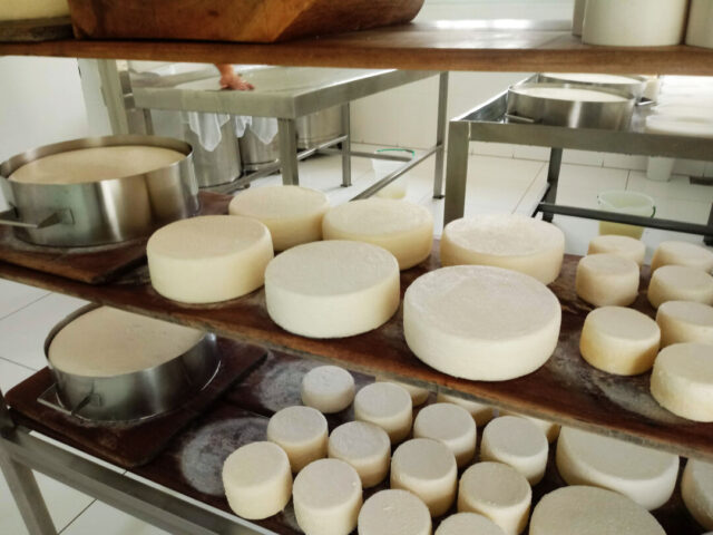 Queijo artesanal de Minas Foto Renata de Paoli (2)