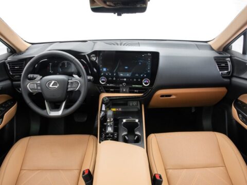 Lexus NX450h 11