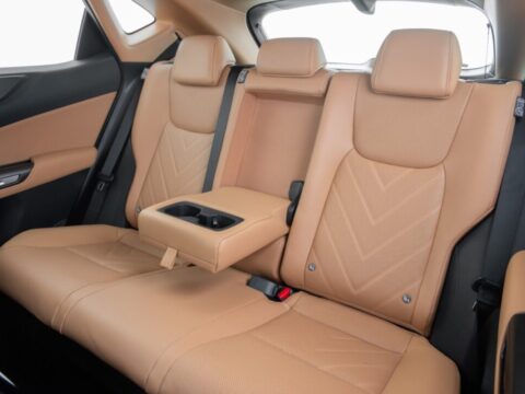 Lexus NX450h 12