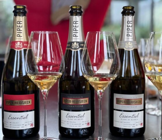 Linha completa Essentiel Plop Champagne: Linha completa Essentiel
