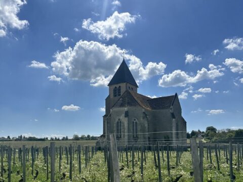 Chablis: Igreja de St Claire e vinhedos Jean Marc Brocard