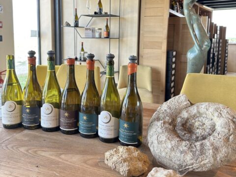 Chablis: Vinho Chablis Jean Marc e Julién Brocard Kimmeridgian