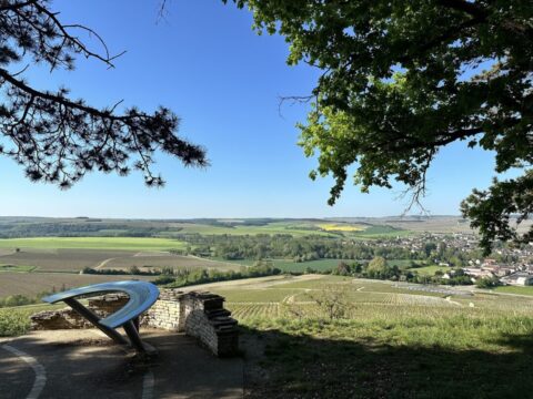 Chablis: Table d'orientation Chablis Les Clos