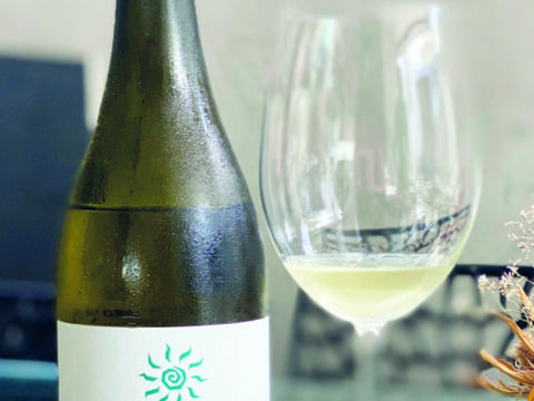 Notinha 2 Fattoria Fibbiano Vermentino I G T 2021