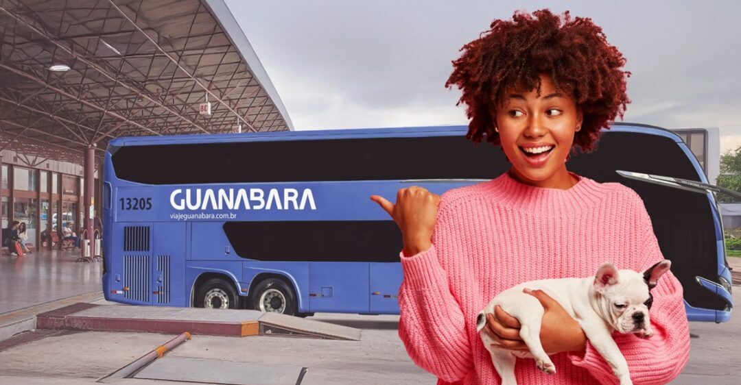 Nova lei regulamenta transporte de pets em ônibus por Minas