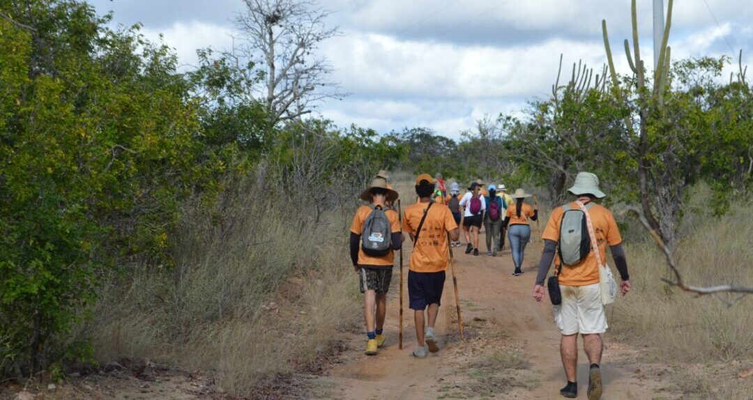 caminhada