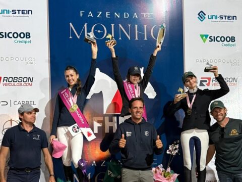 Campeonato Mineiro de Amazonas