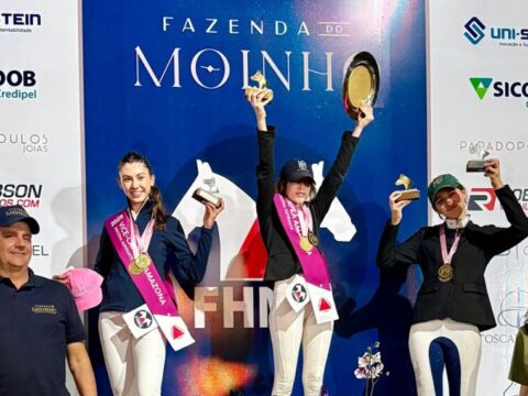 Campeonato Mineiro de Amazonas