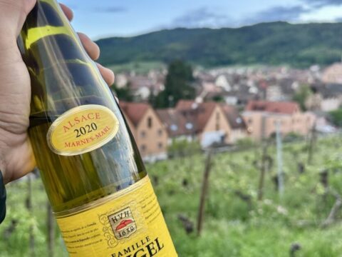 Notinha 1 Hugel Estate Riesling 2020 (1) Notinha 1 Hugel Estate Riesling 2020 (1)