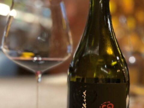 Notinha 1 Maria Maria Isabela Syrah 2023 Notinha 1 Maria Maria Isabela Syrah 2023