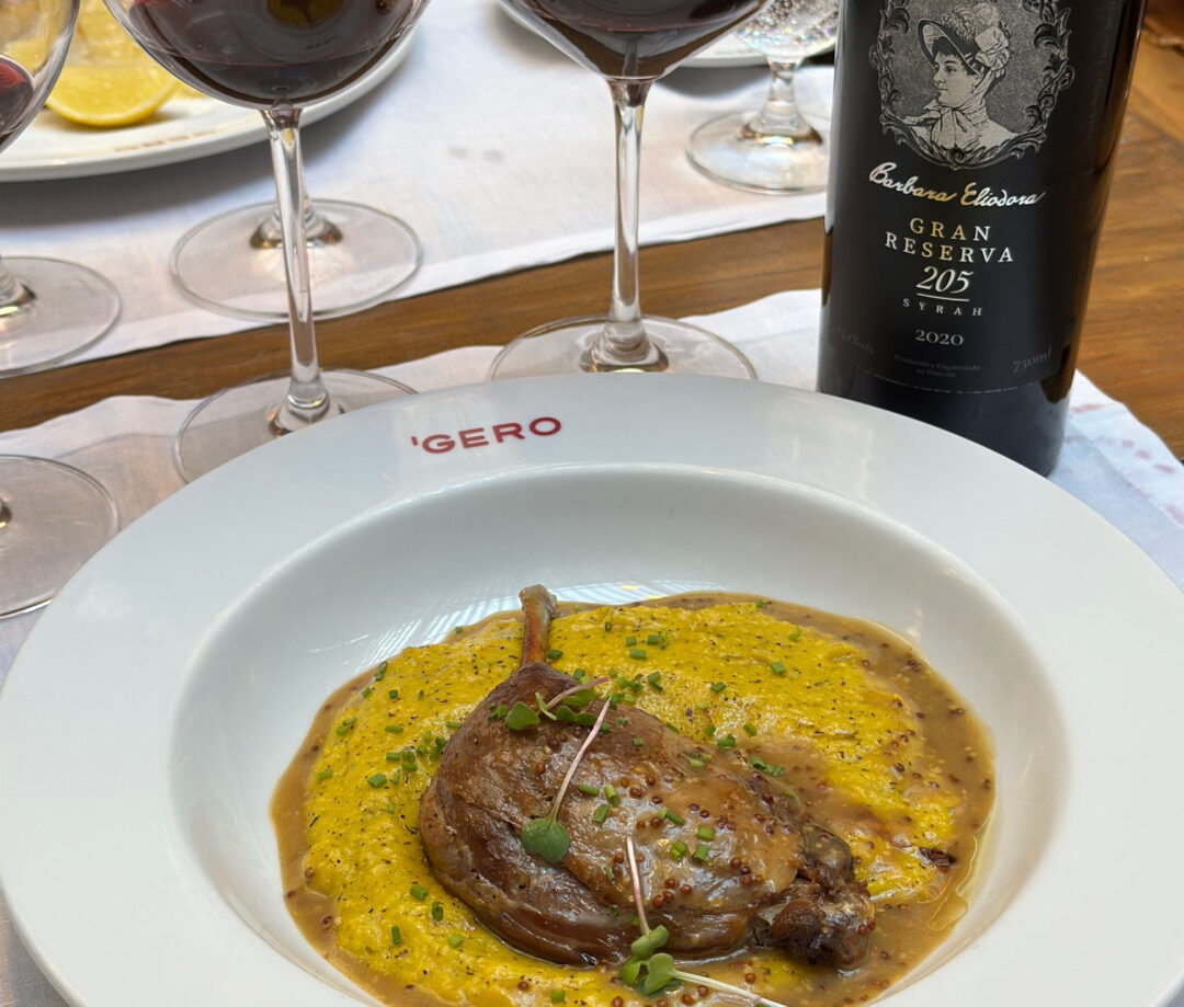Degustatividade: Vinícola Bárbara Heliodora