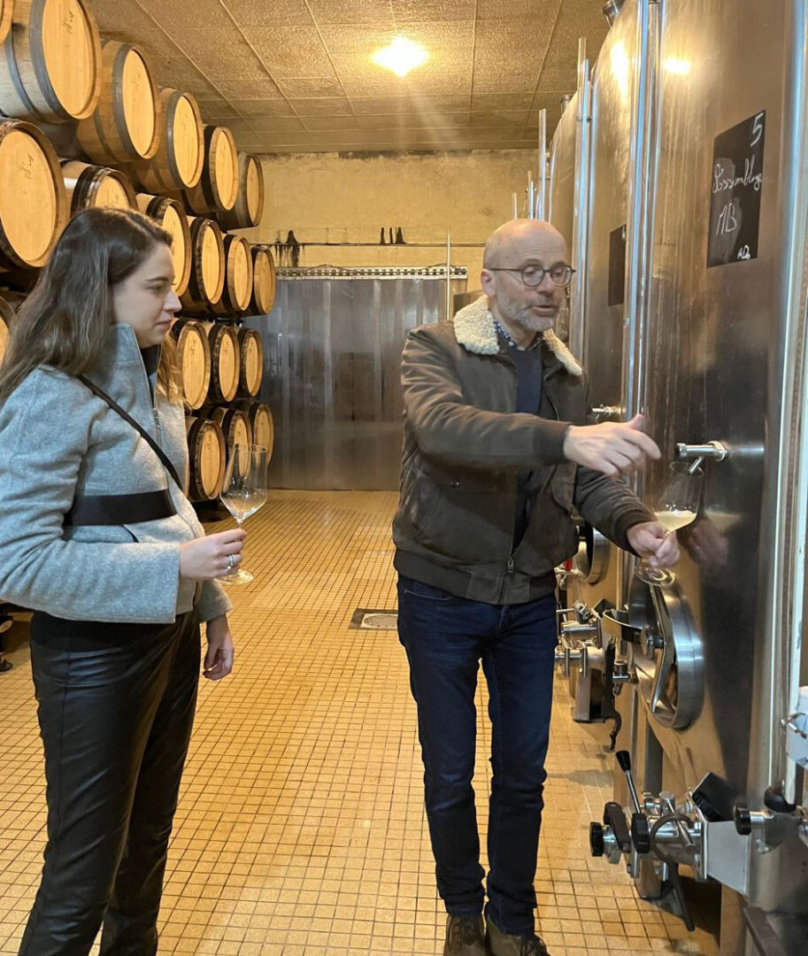 Plop Champagne: Champagnes de Vignerons