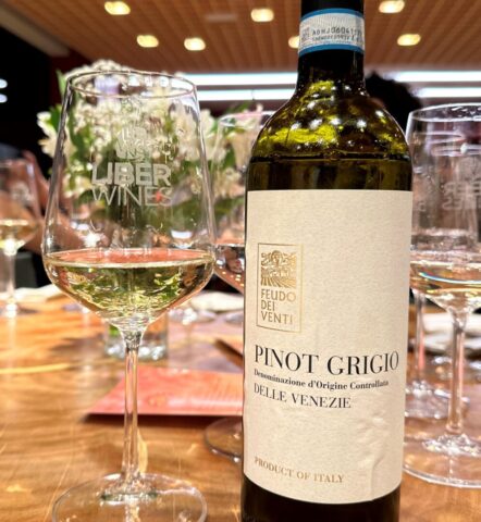 Notinha 1 Feudo Dei Venti Pinot Grigio Notinha 1 Feudo Dei Venti Pinot Grigio