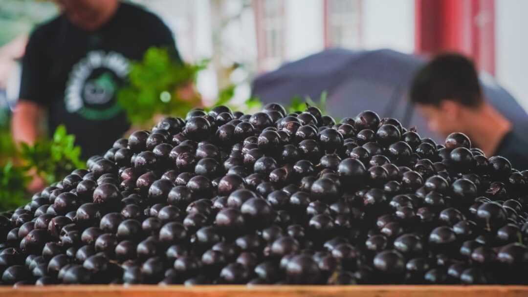 Festival Jabuticaba Sabará