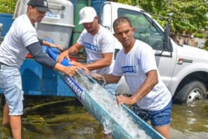 Peixamento fortalece pesca artesanal no Norte Peixamento fortalece pesca artesanal no Norte