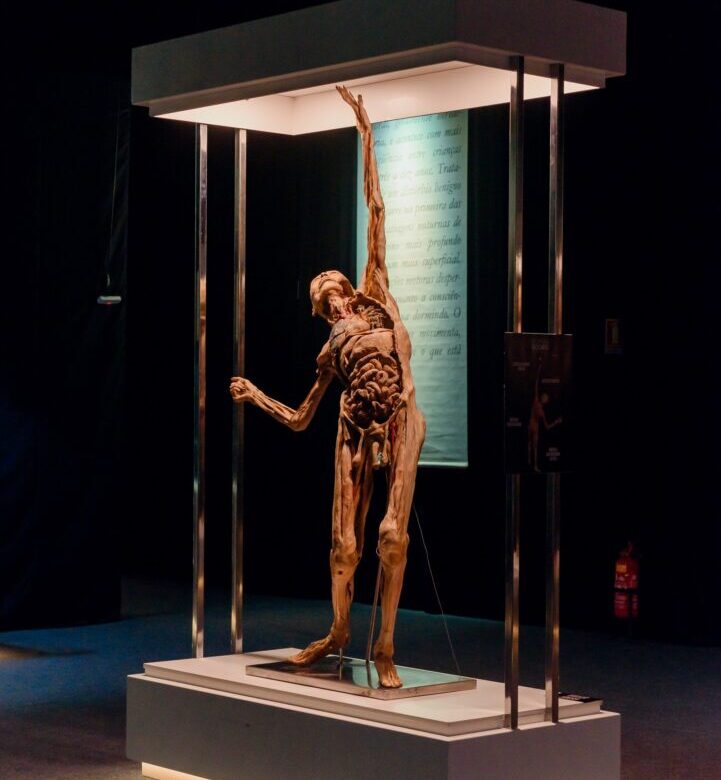 Exposição Human Bodies CRÉDITO Diego Walendorff Petter (4)