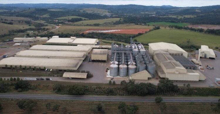 Cooperativa mineira entre as 300 do mundo