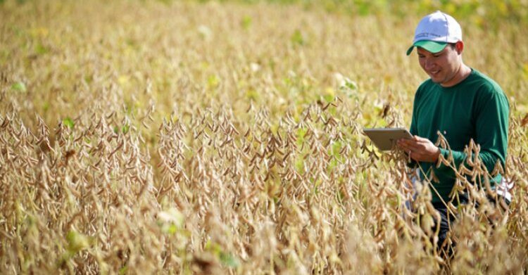 Residência agropecuária une teoria e prática
