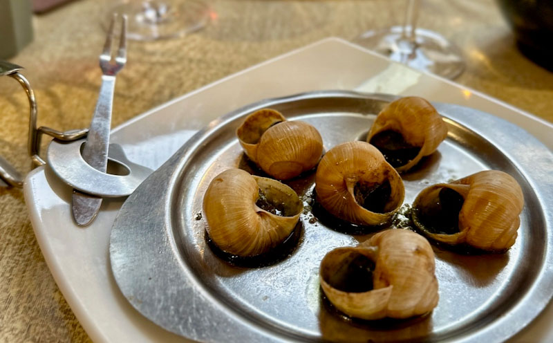 Escargots (1)