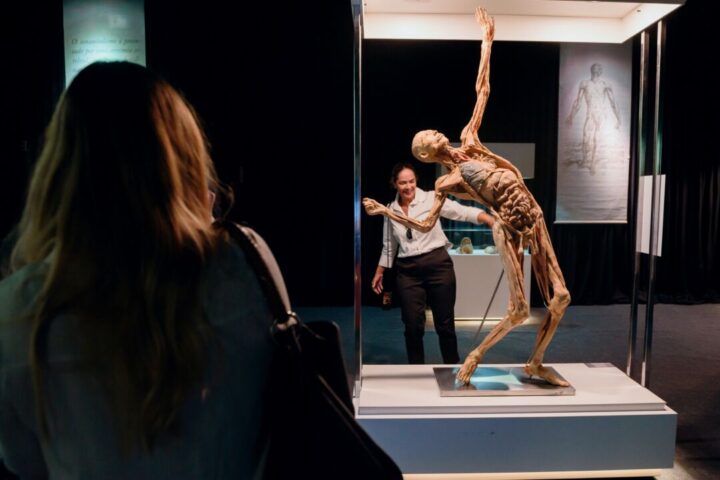 Exposição Human Bodies apresenta corpos humanos preservados em BH Visitante observa corpo humano preservado por plastinação na exposição “Human Bodies – Maravilhas do Corpo Humano”, em cartaz no BH Shopping, em Belo Horizonte - vozes femininas