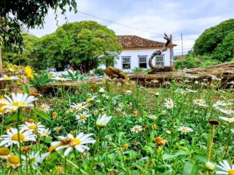 Andrelândia, Minas Gerais