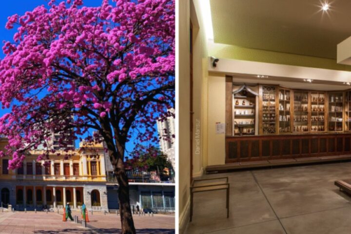 Feira da Estação realiza edição especial de Dia das Mães no SESI Museu de Artes e Ofícios Feira da Estação realiza edição especial de Dia das Mães no SESI Museu de Artes e Ofícios na página da ex-secretária