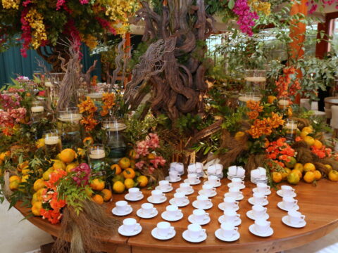 Decoração (Edy Fernandes) 1