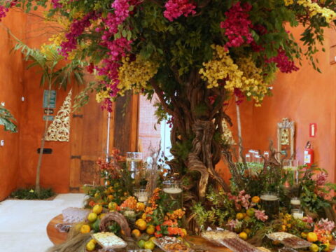 Decoração (Edy Fernandes) 6