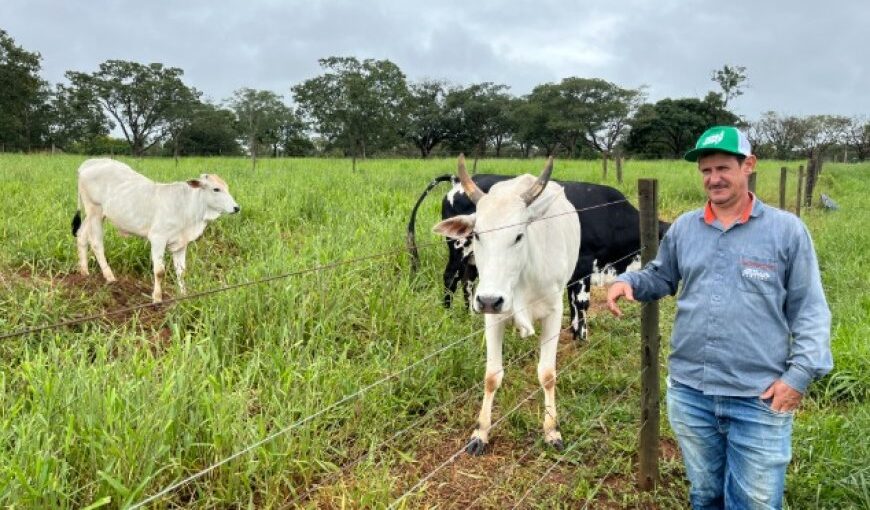 Agro + Verde recupera 3 300 hectares no oeste de Minas Gerais
