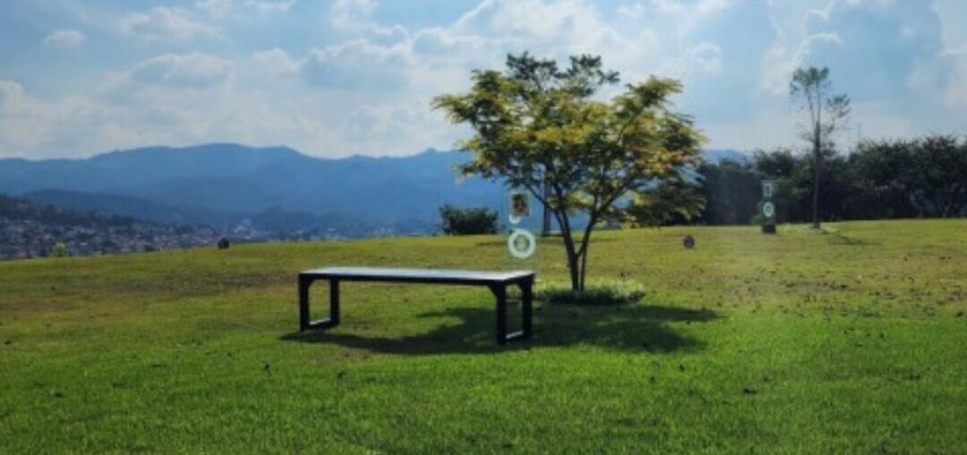 Parque Memorial do BioParque em Nova Lima integra homenagem e preservação ambiental Área verde do Parque Memorial BioParque, em Nova Lima, onde árvores simbolizam homenagens ecológicas e preservação da memória de entes queridos