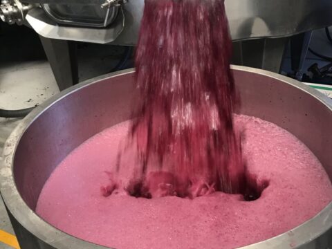 Paixão pelo vinho marca rótulos exclusivos da Dumô & Dagí