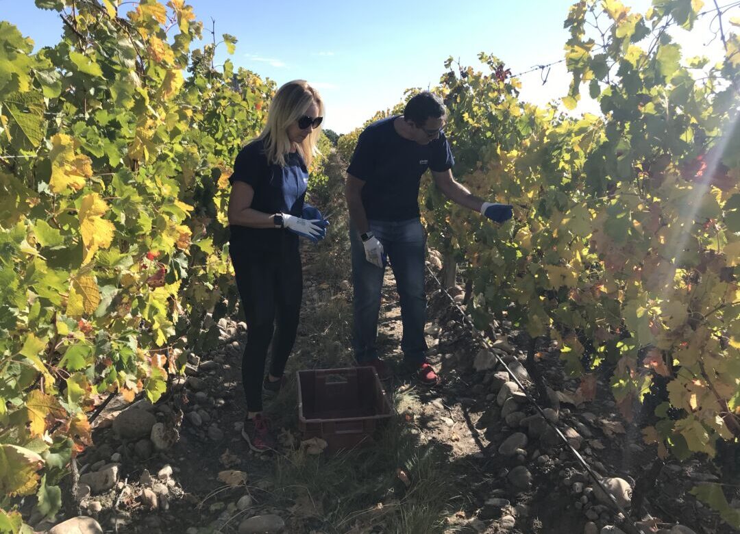 Gianne Costa Val e José Aloysio Costa Val durante visita aos vinhedos do Vale de Uco, em Mendoza, região onde são produzidos os vinhos da Dumô & Dagí