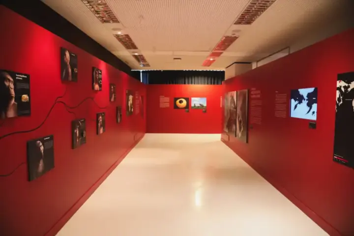 Exposição "demasiado humano" recebe visitas mediadas no Espaço do Conhecimento UFMG Sala da exposição "demasiado humano", no Espaço do Conhecimento UFMG, em Belo Horizonte, que recebe visitas mediadas durante o mês de agosto