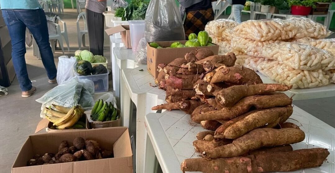 Viçosa faz distribuição de 800 quilos de alimentos