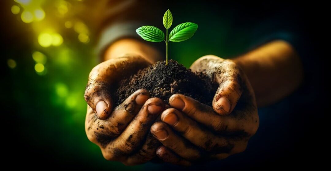 Nova Lima recebe evento gratuito de sustentabilidade 