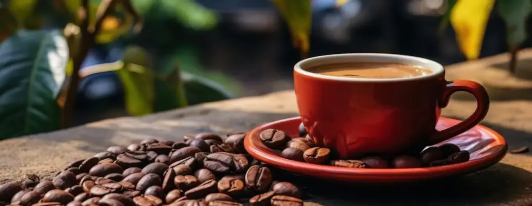 Produção de café cresce em Minas e setor observa avanço do consumo entre jovens