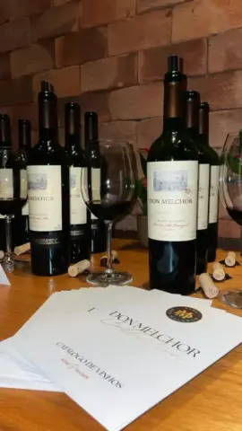 Vinhos daDon Melchor Collection para degustação dos convidados