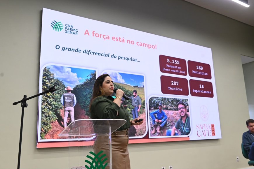 Safra de café em Minas Gerais deve alcançar 33,4 milhões de sacas em 2026 